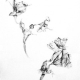 Sacramento Street Gallery “Mostly Drawing”