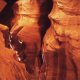View “Wild Utah” at Sacramento Street Gallery