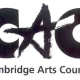 MMVAC Receives Cambridge Arts Council Grant