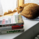 Join Our “Green” Book Club