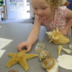 New Early Learning Family Series Begins This Month
