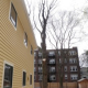 Remembering the Sugar Maple