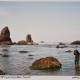 Sinclair Hitchings Partners with the Chandler Gallery to Launch ART in BOSTON
