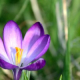 February LWN Yoga – Aikido & Breathwork