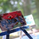 Agassiz Baldwin Afterschool Students Discover the Delight of Curating