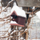 ABC and MMA Programs Closed Due to Snow – January 5