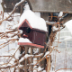 ABC and MMA Programs Closed Due to Snow – March 4