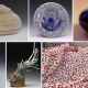 Earth and Fire at the Chandler Gallery