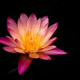 Seasonal Mindfulness Session