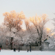 Agassiz Baldwin Community Closed for Winter Holidays – December 25