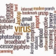 What does that mean?! Technical and Computer Terms for Everyday Users