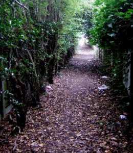 Path to Happiness_David_Masters_Flickr