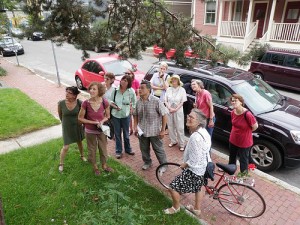 Participants view a tree on a walking tour