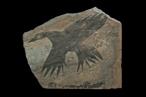 Rubin-Reverse Migration