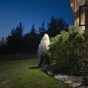 Gallery_2017_Rugosa Window_Wentworth_12x12